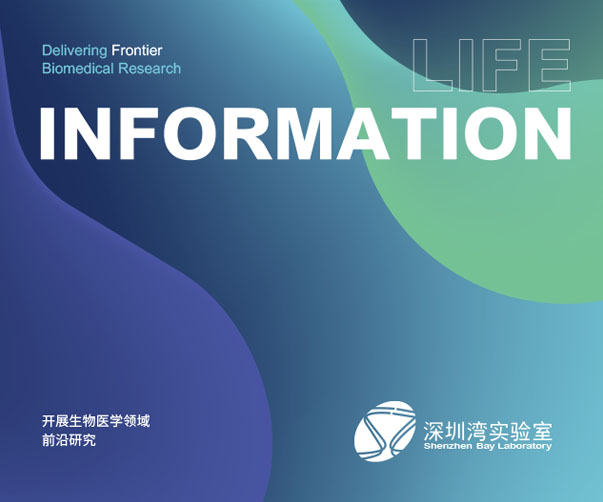 涮羊肉包裝設計