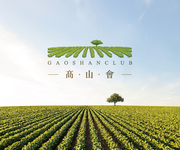 高端護膚品包裝設計：奢華與可持續的平衡藝術